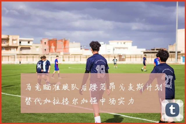 马竞瞄准狼队后腰若昂戈麦斯计划替代加拉格尔加强中场实力