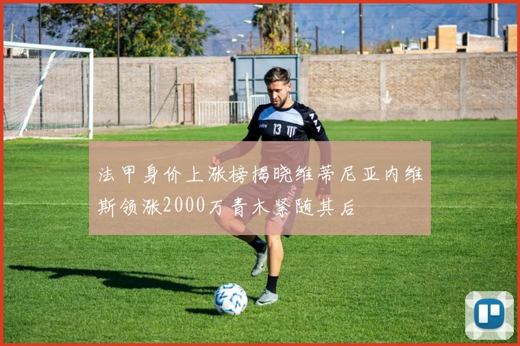 法甲身价上涨榜揭晓维蒂尼亚内维斯领涨2000万青木紧随其后